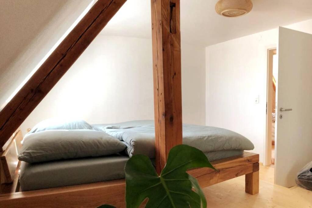 Ruhig Gelegene, Top Moderne Ferienwohnung - Hot Tub Und Sauna Gegen Aufpreis Neuhaus an Der Eger Exterior foto
