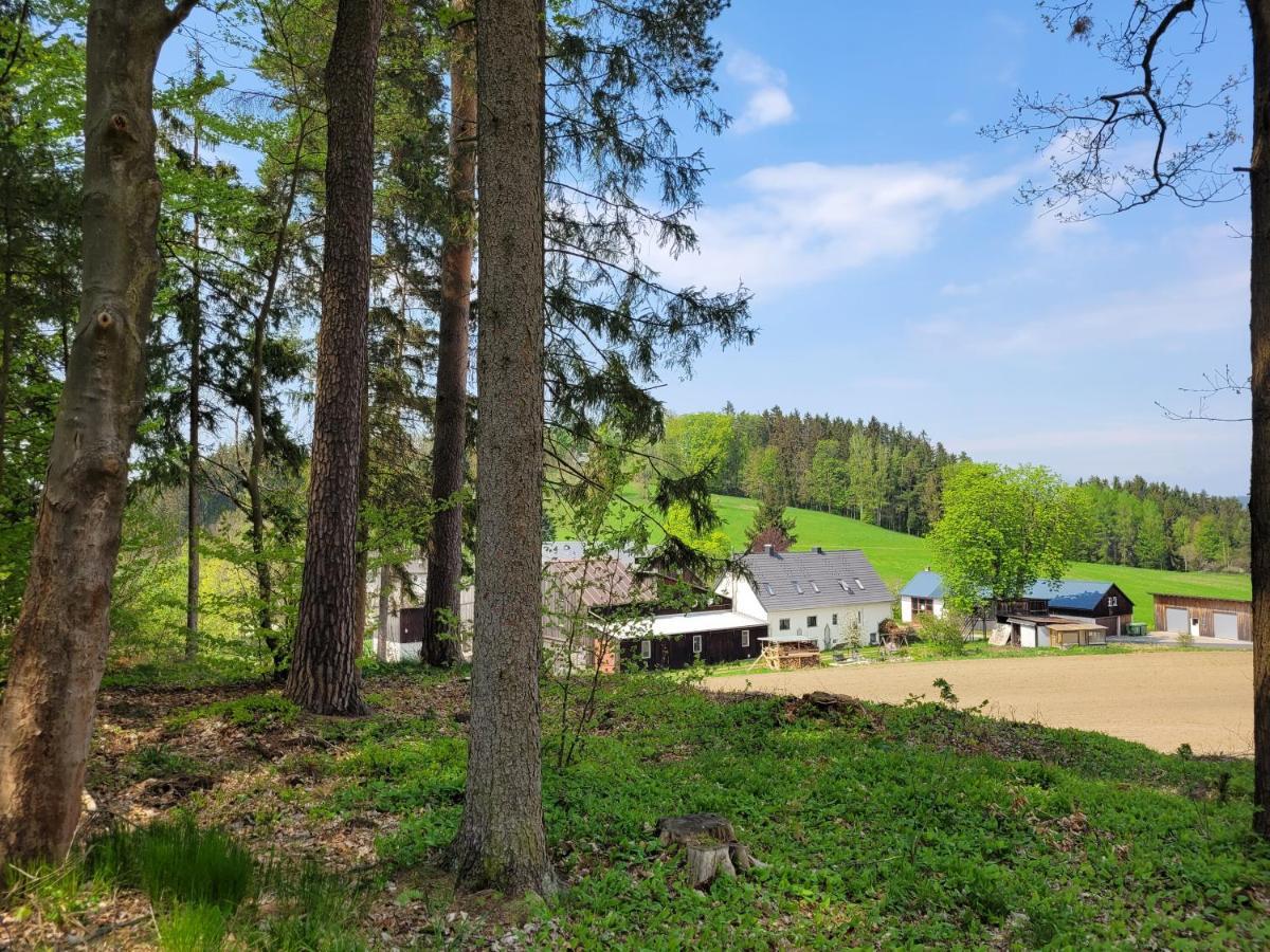 Ruhig Gelegene, Top Moderne Ferienwohnung - Hot Tub Und Sauna Gegen Aufpreis Neuhaus an Der Eger Exterior foto