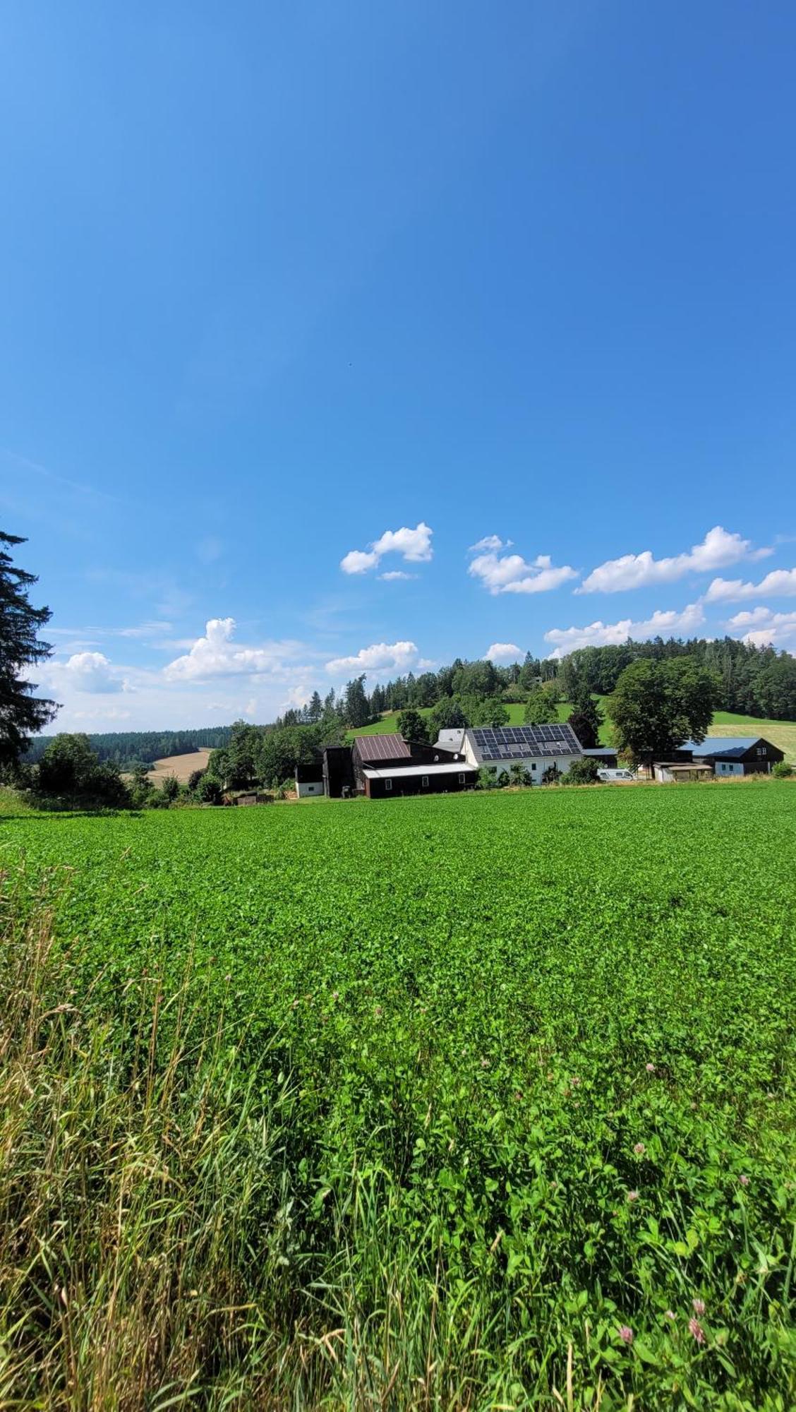 Ruhig Gelegene, Top Moderne Ferienwohnung - Hot Tub Und Sauna Gegen Aufpreis Neuhaus an Der Eger Exterior foto